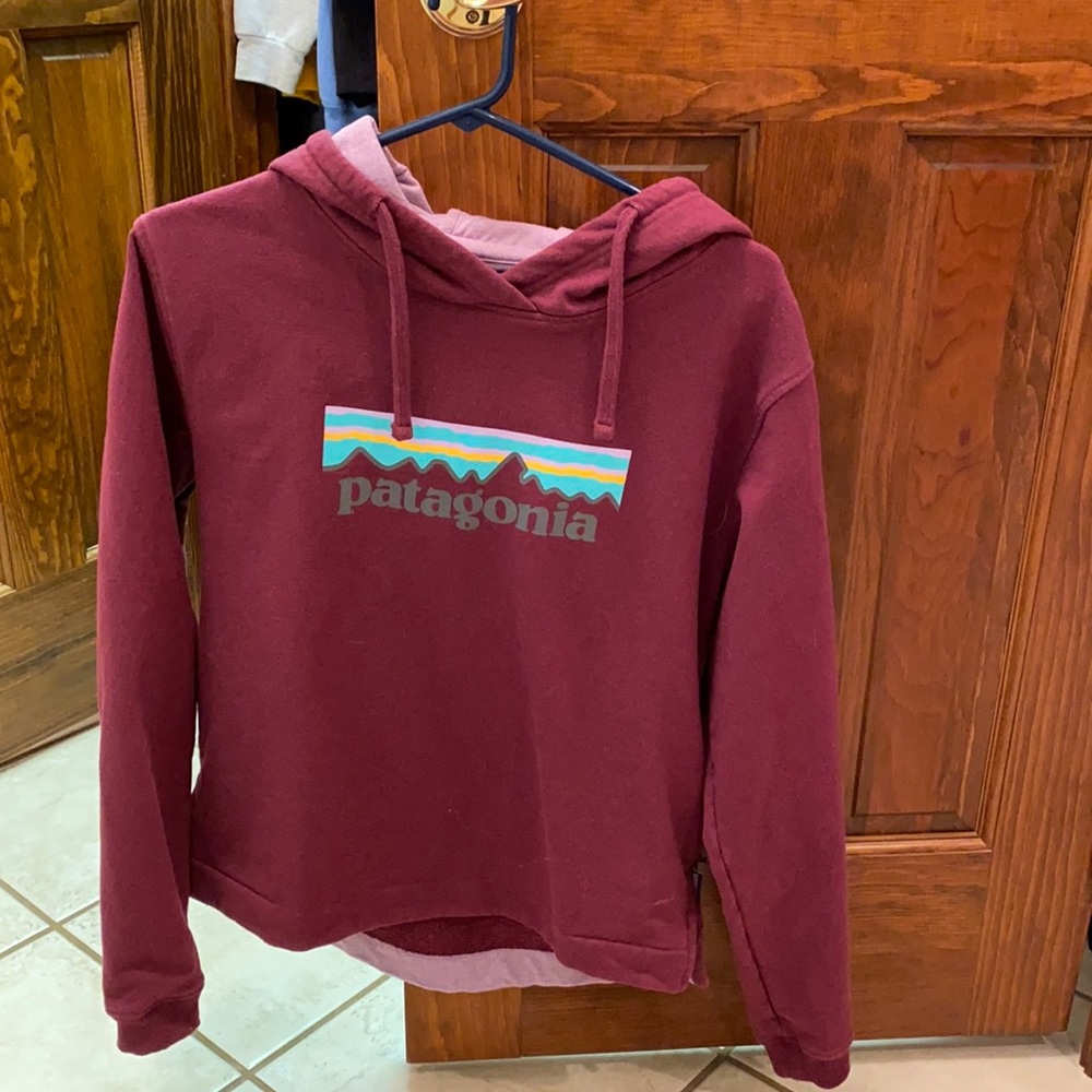 Patagonia hoodie
